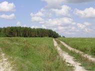 Остроушки з panoramio.com