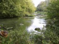 Бистрі з panoramio.com