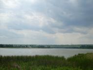 Куна з panoramio.com