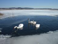 Чистопади з panoramio.com