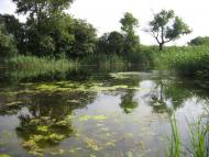 Долинівка з panoramio.com