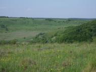 Гутисько з panoramio.com