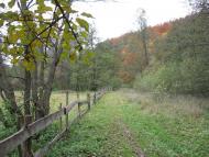 Лісопотік з panoramio.com