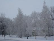 Дачне з panoramio.com