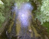 Киселівка з panoramio.com