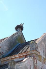 Бібрка з panoramio.com