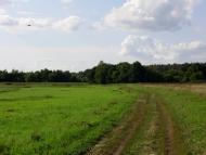 Остроушки з panoramio.com