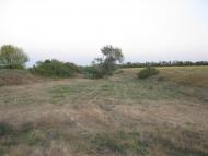 Петровеньки з panoramio.com - Петровеньки