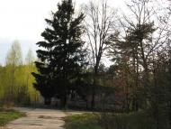 Глибочок з panoramio.com