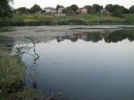 Мотовилівська Слобідка з panoramio.com - Мотовилівська Слобідка