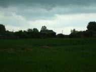 Рижики з panoramio.com