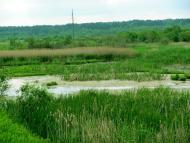 Тростянець з panoramio.com