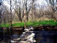 Комісарівка з panoramio.com