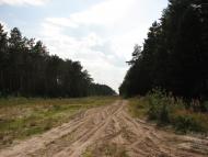 Клипець з panoramio.com