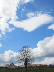 Гущинці з panoramio.com