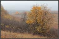 Петропавлівка з panoramio.com