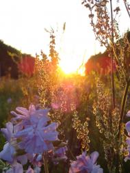 Жабка з panoramio.com