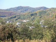 Монастирець з panoramio.com