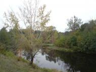 Лабурівка з panoramio.com