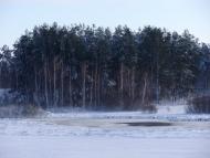 Перепис з panoramio.com