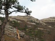Баштанівка з panoramio.com - Баштанівка