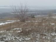 Миколаївка з panoramio.com