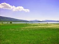 Розсошанка з panoramio.com