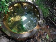 Новофастів з panoramio.com