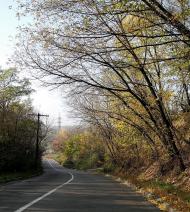 Халеп'я з panoramio.com - Khalepya