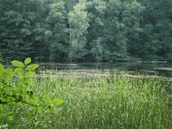 Руські Тишки з panoramio.com