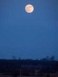 Боянівка з panoramio.com