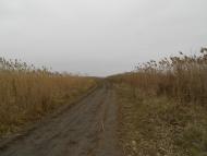 Меліоративне з panoramio.com - Мелиоративное