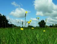 Мелені з panoramio.com