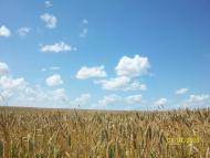 Михайлівка з panoramio.com