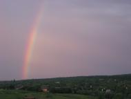 Питомник з panoramio.com