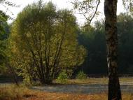 Рівнопілля з panoramio.com