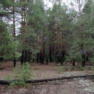 Новотроїцьке з panoramio.com