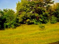 Бране Поле з panoramio.com