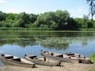 Прибузьке з panoramio.com