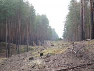 Морозівка з panoramio.com - Morozivka