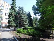 Сєверне з panoramio.com