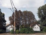 Кірове з panoramio.com