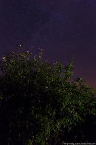 Квітневе з panoramio.com