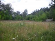 Шегині з panoramio.com - Шегини