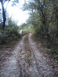 Тарасенки з panoramio.com - Тарасенки