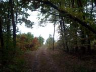 Тарасенки з panoramio.com - Тарасенки