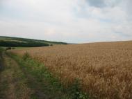 Василівка з panoramio.com