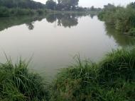 Мисайлівка - Останні фото