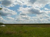 Ходосиха з panoramio.com