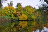 Комишани з panoramio.com